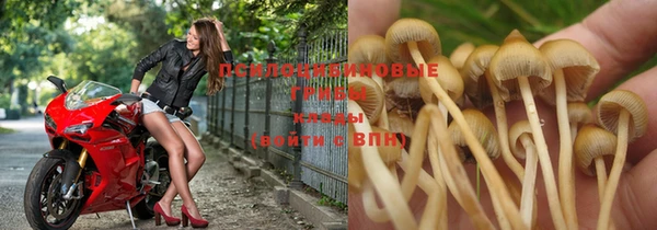 PSILOCYBIN Абинск