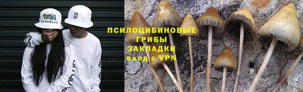 прущая мука Абдулино