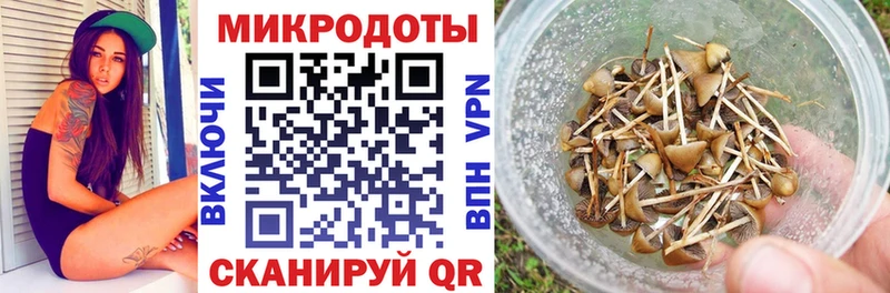 наркотики Зубцов Галлюциногенные грибы прущие грибы